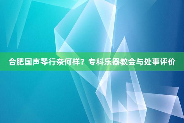 合肥国声琴行奈何样？专科乐器教会与处事评价