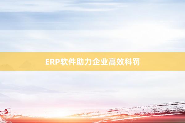 ERP软件助力企业高效科罚